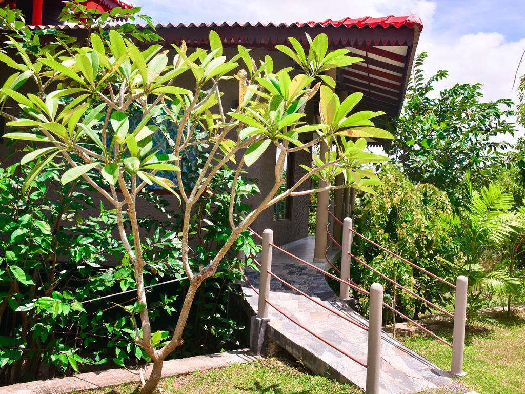 Mass Eco Cabana Yoga & Spa - อูนาวาตูนา ภายนอก รูปภาพ