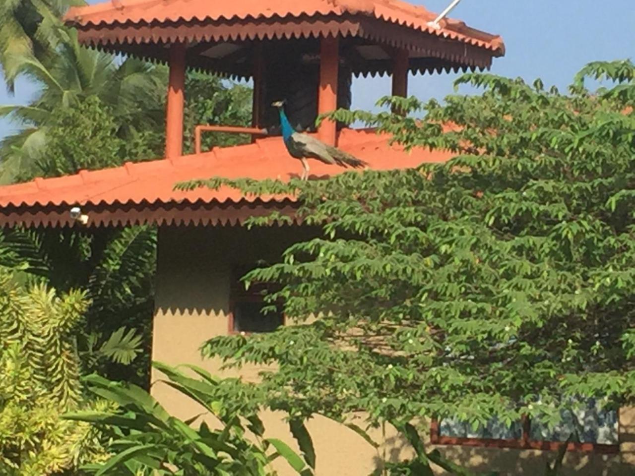 Mass Eco Cabana Yoga & Spa - อูนาวาตูนา ภายนอก รูปภาพ