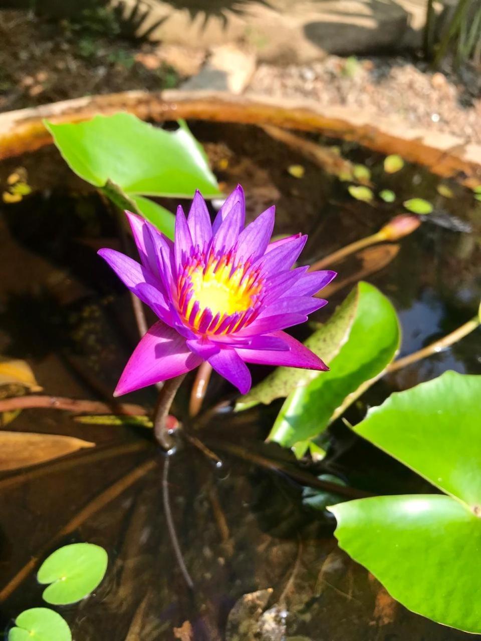 Mass Eco Cabana Yoga & Spa - อูนาวาตูนา ภายนอก รูปภาพ