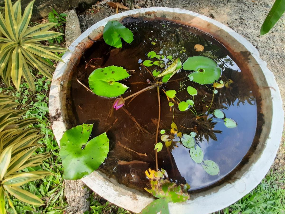 Mass Eco Cabana Yoga & Spa - อูนาวาตูนา ภายนอก รูปภาพ
