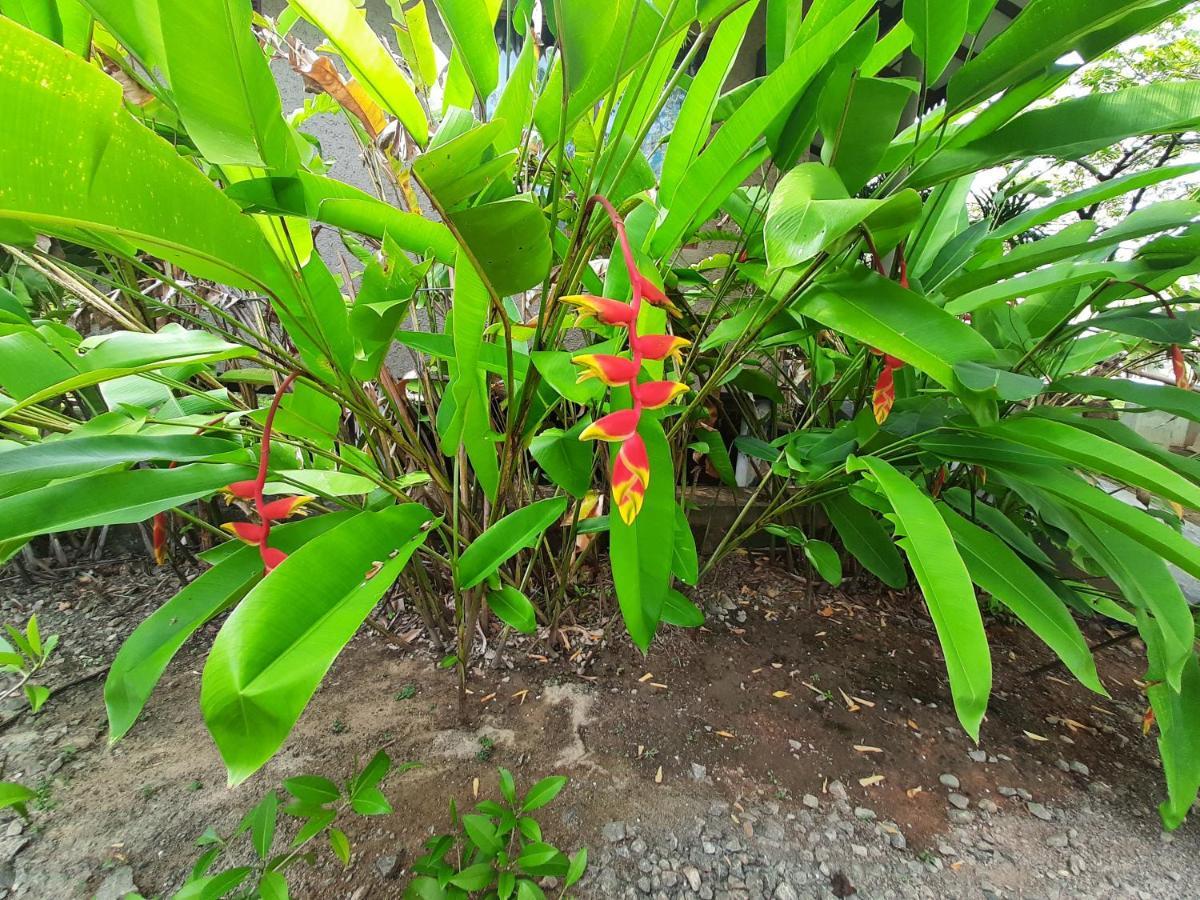 Mass Eco Cabana Yoga & Spa - อูนาวาตูนา ภายนอก รูปภาพ