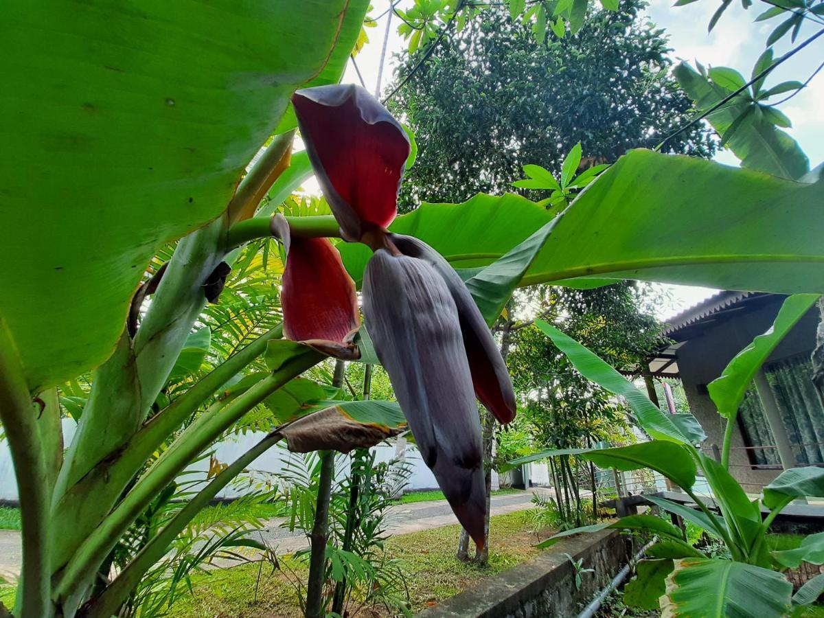 Mass Eco Cabana Yoga & Spa - อูนาวาตูนา ภายนอก รูปภาพ